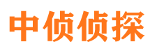 涪城市侦探调查公司